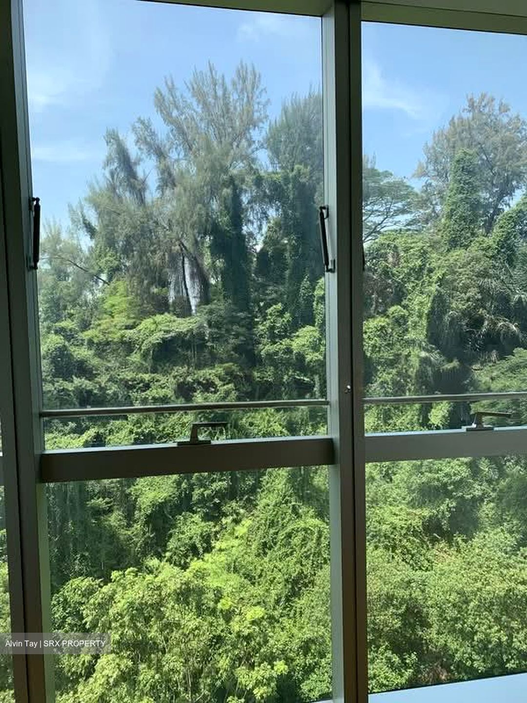 Reflections At Keppel Bay (D4), Condominium #553582311